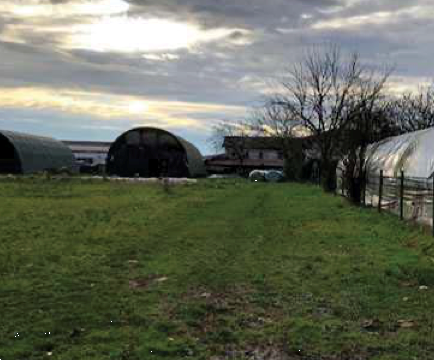 immagine annuncio 7 di 13