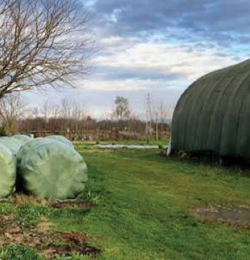 immagine annuncio 8 di 13