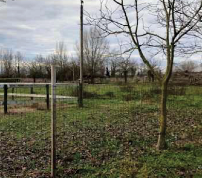 immagine annuncio 9 di 13