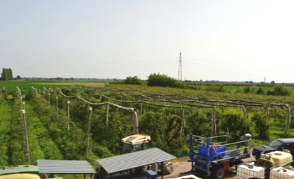 immagine annuncio 8 di 13