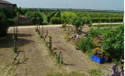 immagine annuncio 9 di 13