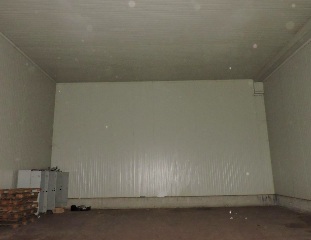 immagine annuncio 11 di 13