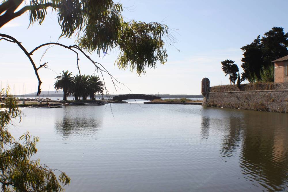 immagine annuncio 6 di 11