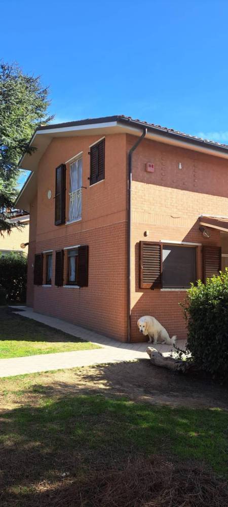 immagine annuncio 8 di 13