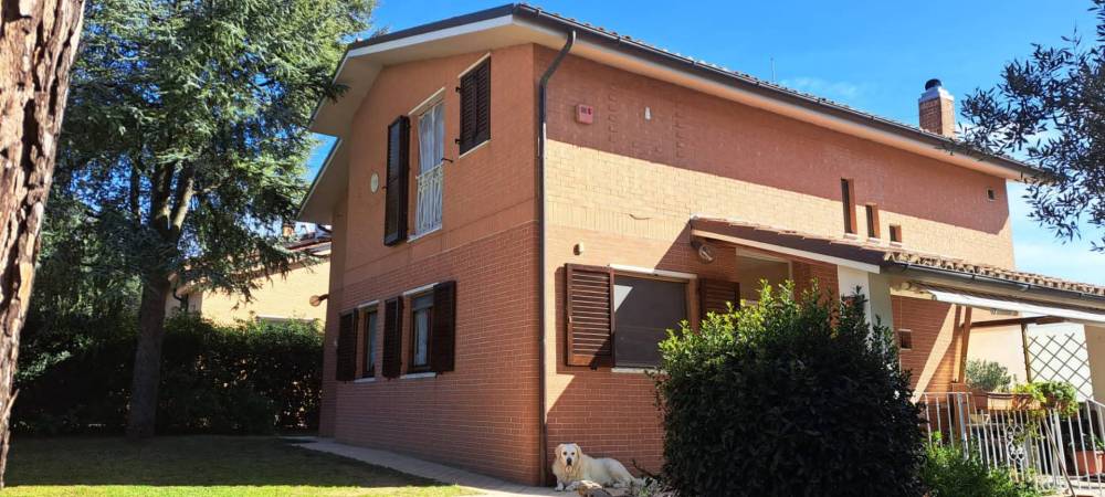 immagine annuncio 7 di 13