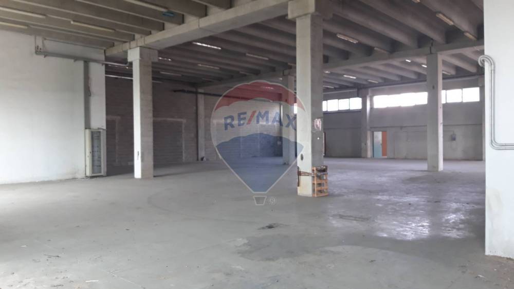 immagine annuncio 8 di 13