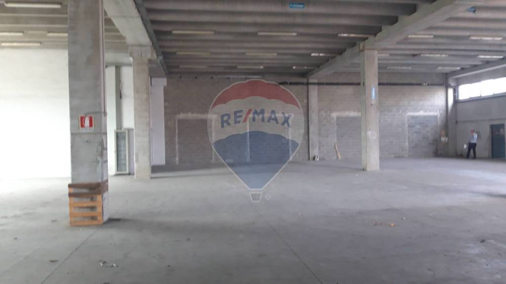 immagine annuncio 9 di 13