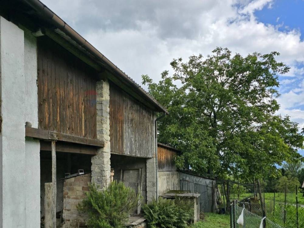 immagine annuncio 12 di 13