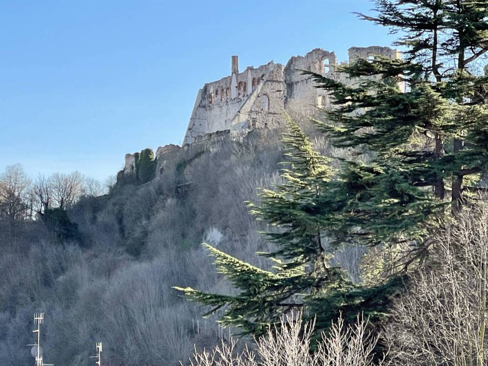 immagine annuncio 1 di 13