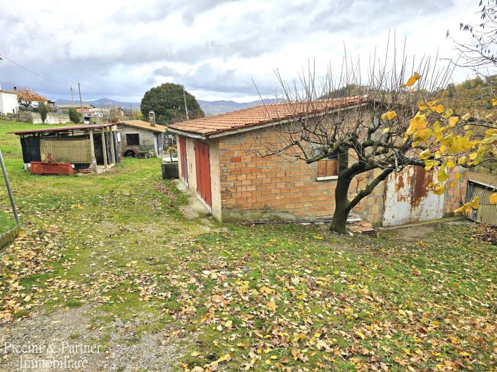 immagine annuncio 2 di 13