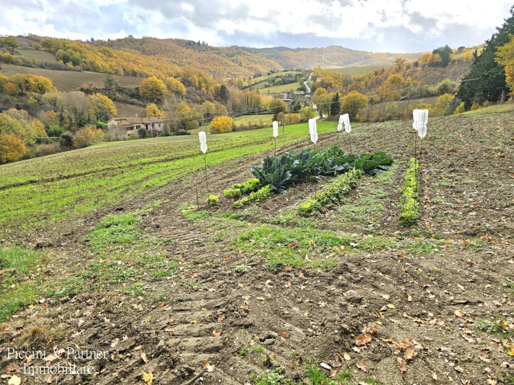 immagine annuncio 10 di 13