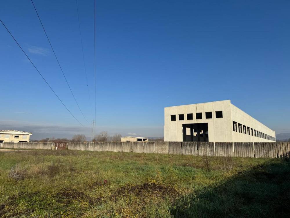 immagine annuncio 9 di 13