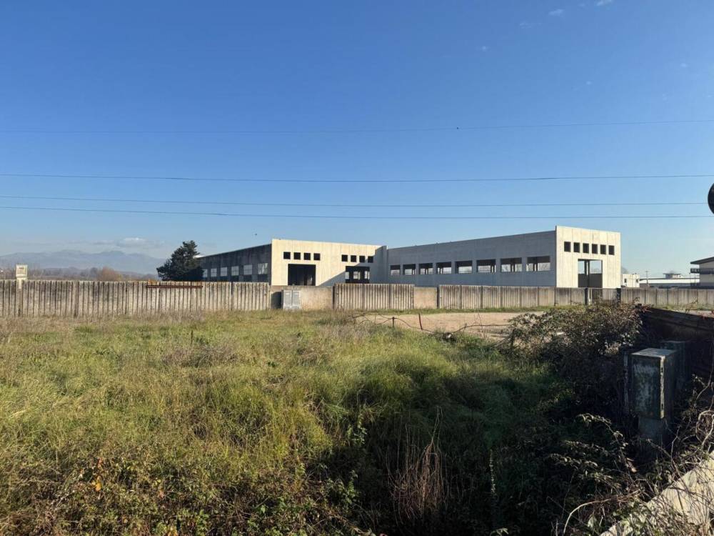 immagine annuncio 7 di 13