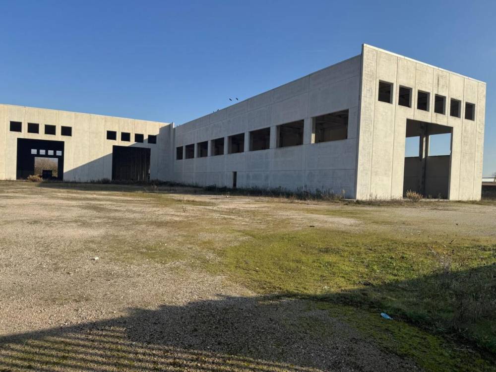 immagine annuncio 12 di 13