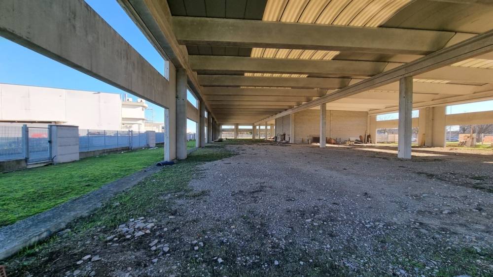 immagine annuncio 9 di 13