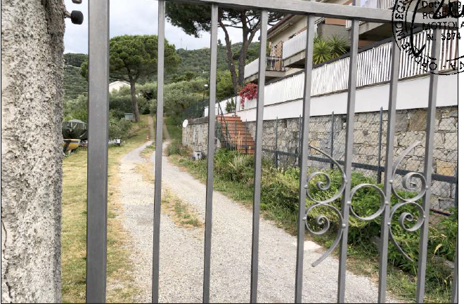 immagine annuncio 11 di 13