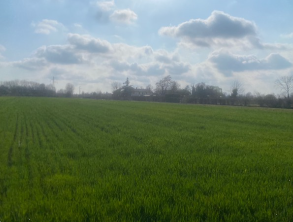 immagine annuncio 1 di 13