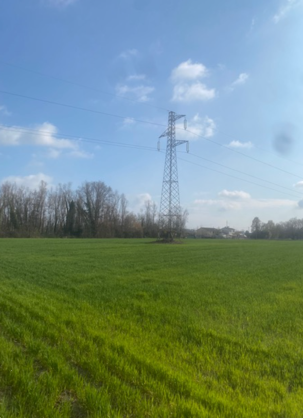 immagine annuncio 2 di 13