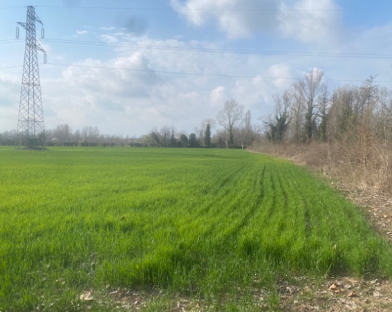 immagine annuncio 5 di 13