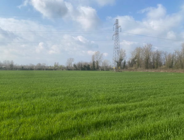 immagine annuncio 6 di 13