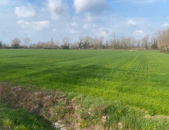 immagine annuncio 8 di 13