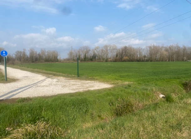 immagine annuncio 9 di 13