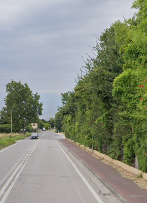 immagine annuncio 12 di 13