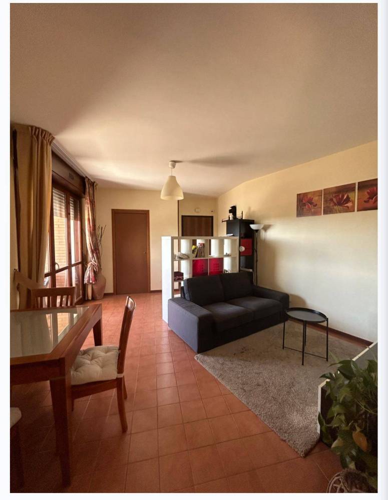 immagine annuncio 9 di 13