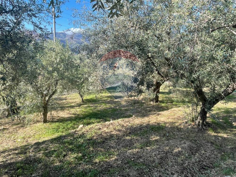 immagine annuncio 2 di 11