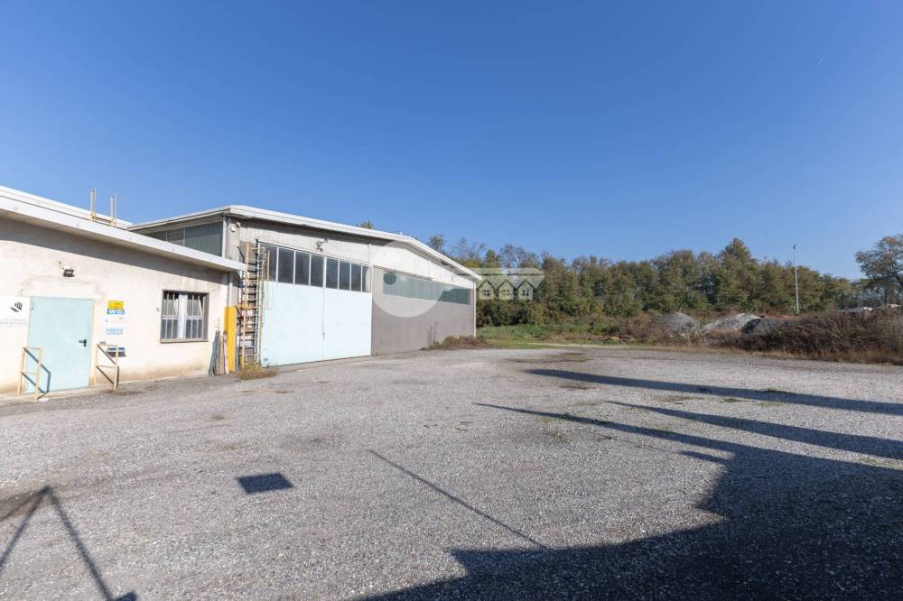 immagine annuncio 9 di 13