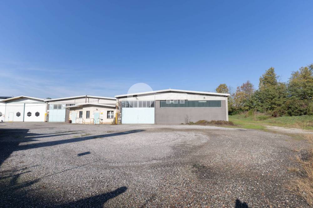 immagine annuncio 8 di 13