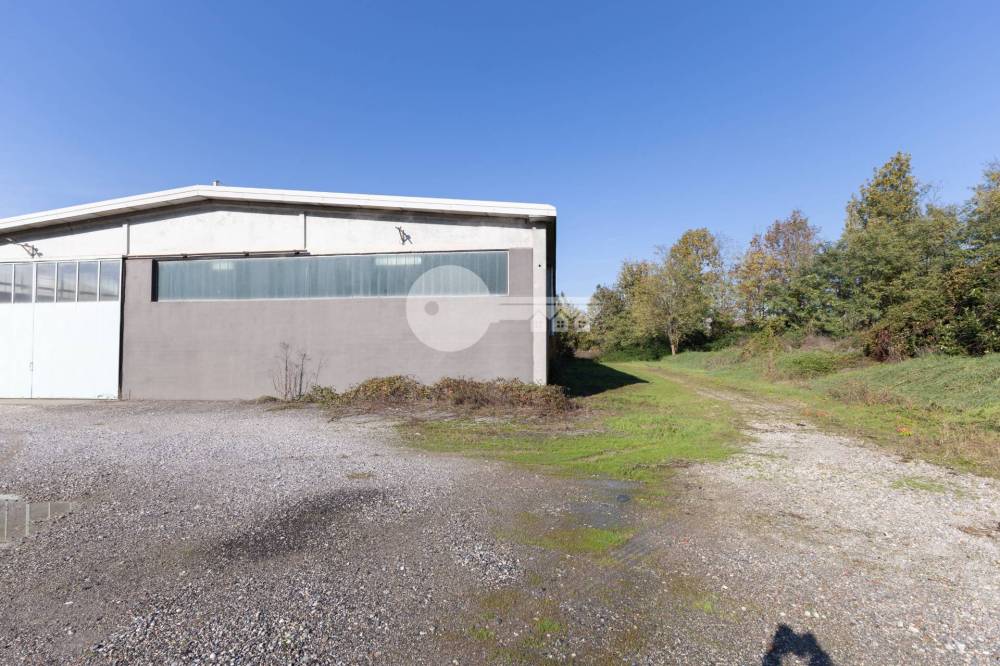 immagine annuncio 10 di 13