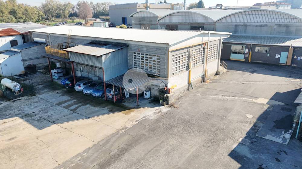 immagine annuncio 6 di 13