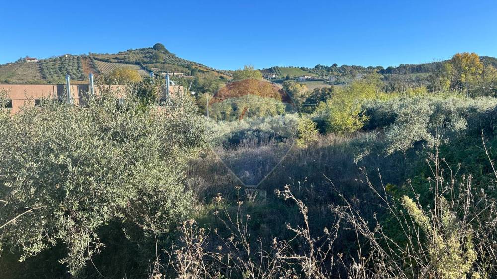 immagine annuncio 7 di 13