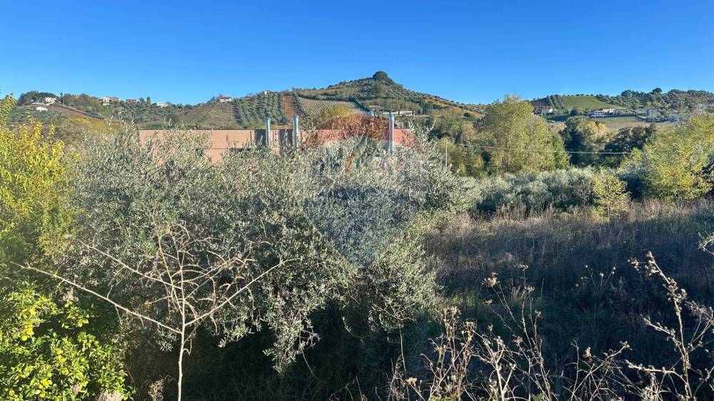 immagine annuncio 8 di 13