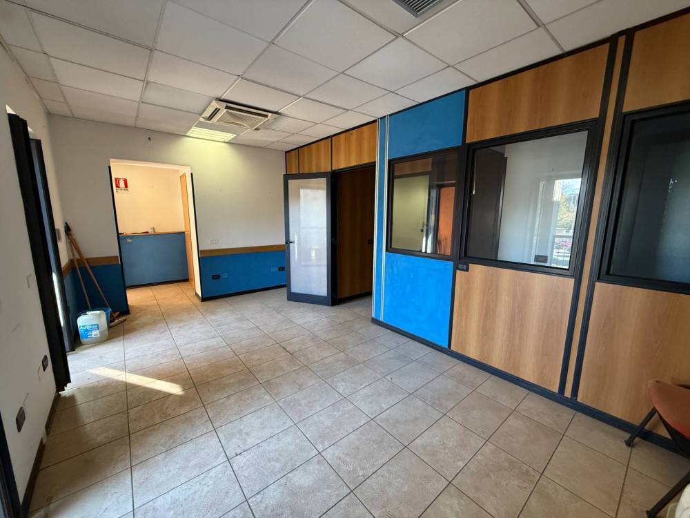 immagine annuncio 1 di 13