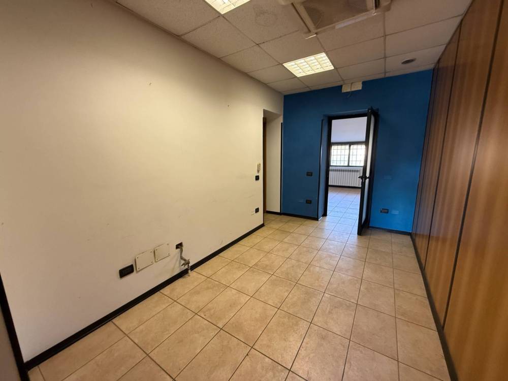 immagine annuncio 6 di 13