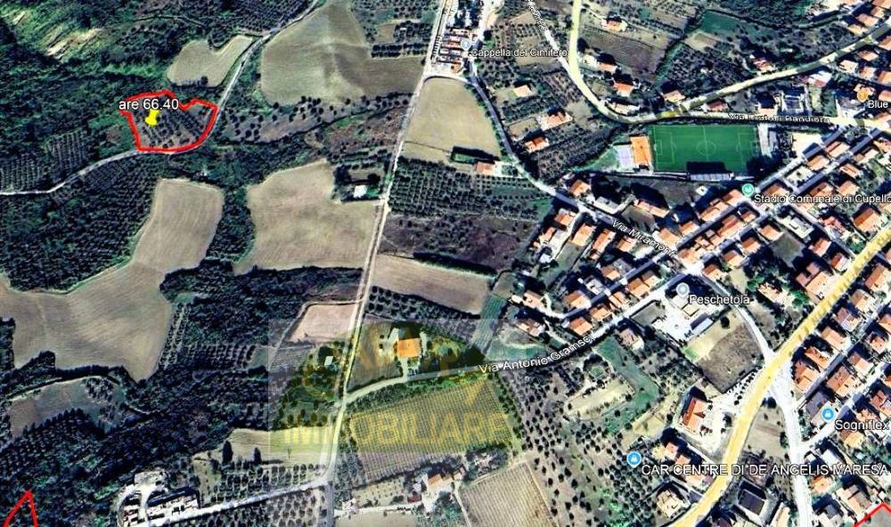 immagine annuncio 1 di 3