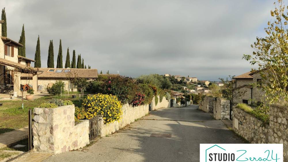 immagine annuncio 2 di 14