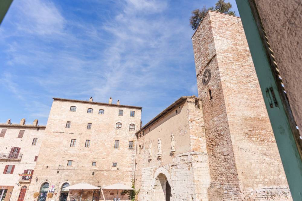 immagine annuncio 4 di 14