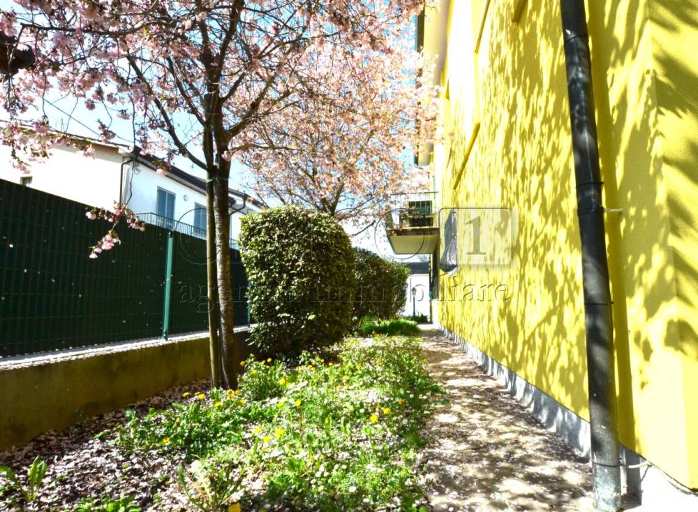 immagine annuncio 11 di 13