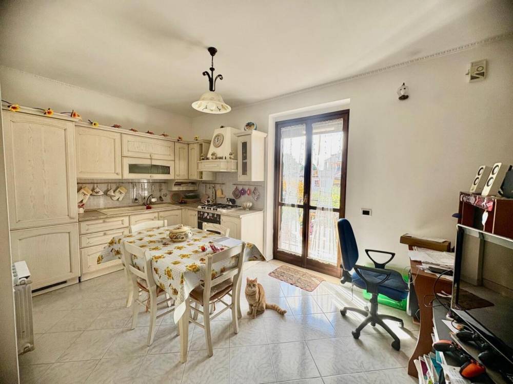 immagine annuncio 2 di 13