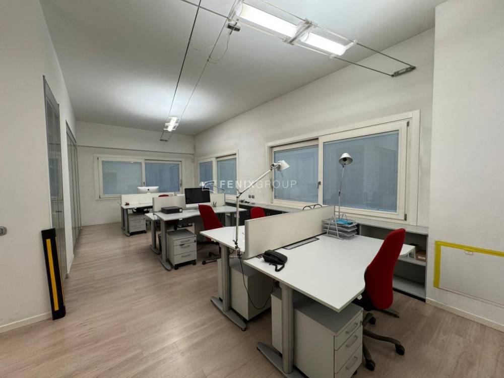 immagine annuncio 5 di 13