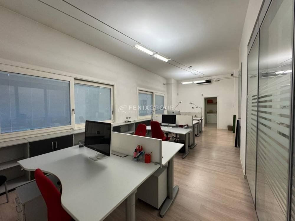 immagine annuncio 10 di 13