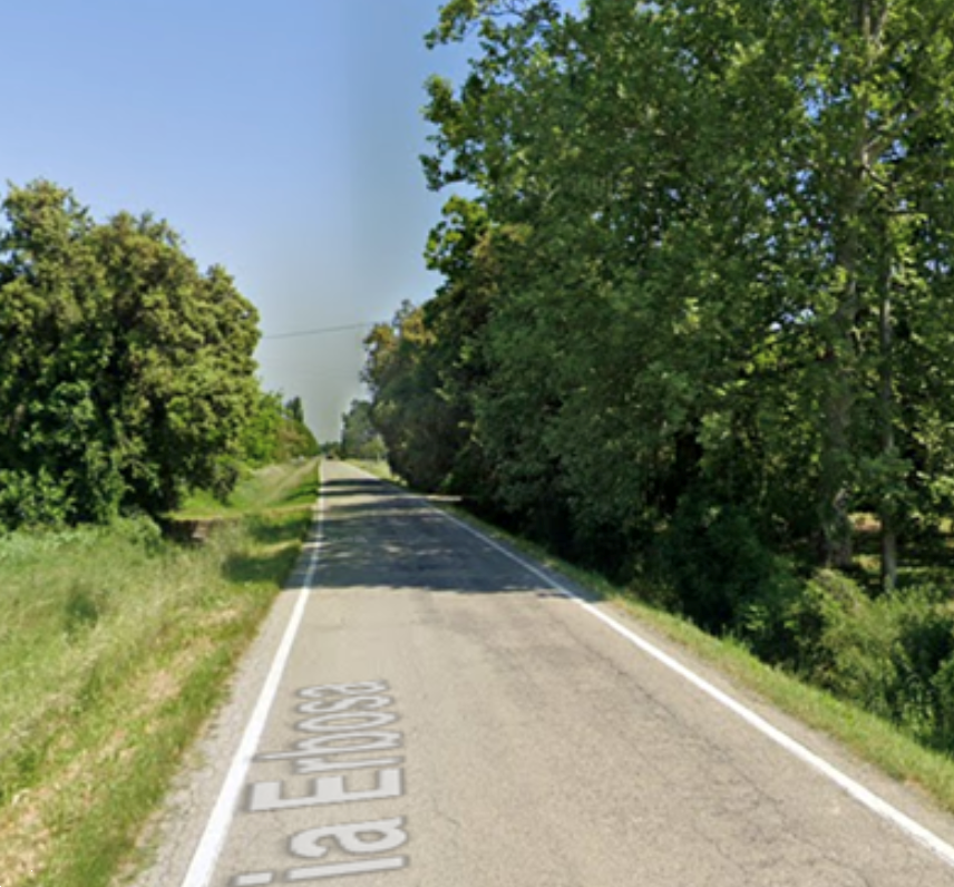 immagine annuncio 4 di 12