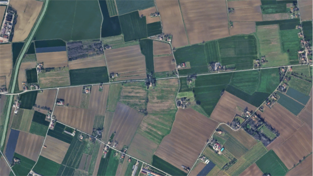 immagine annuncio 7 di 12