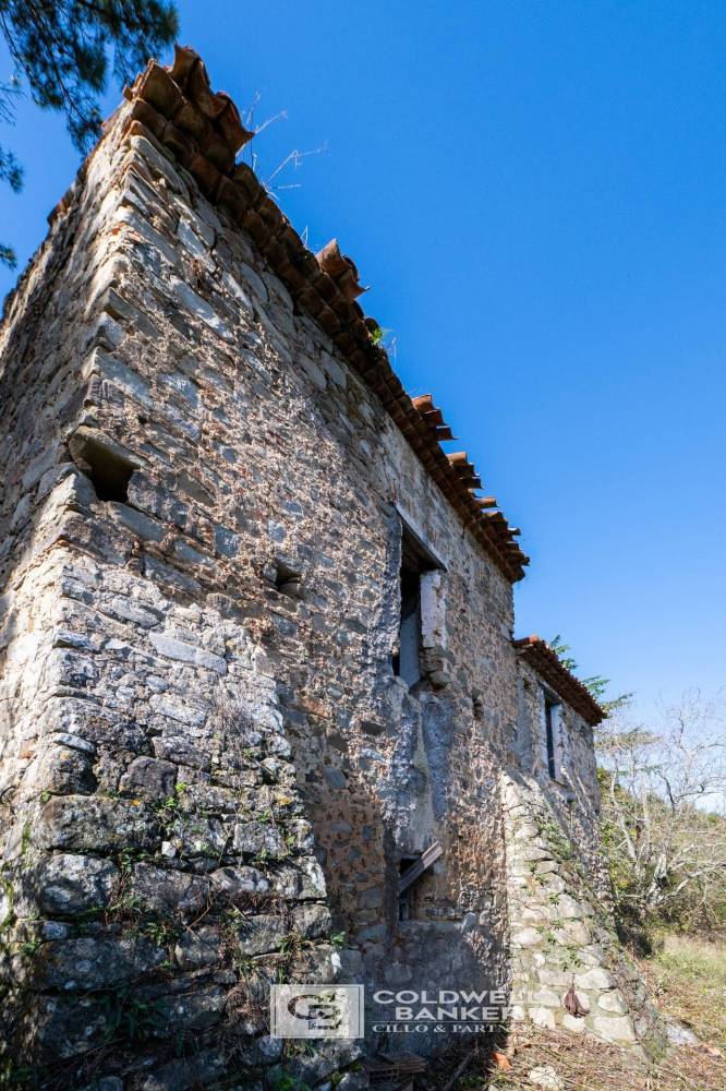 immagine annuncio 6 di 13