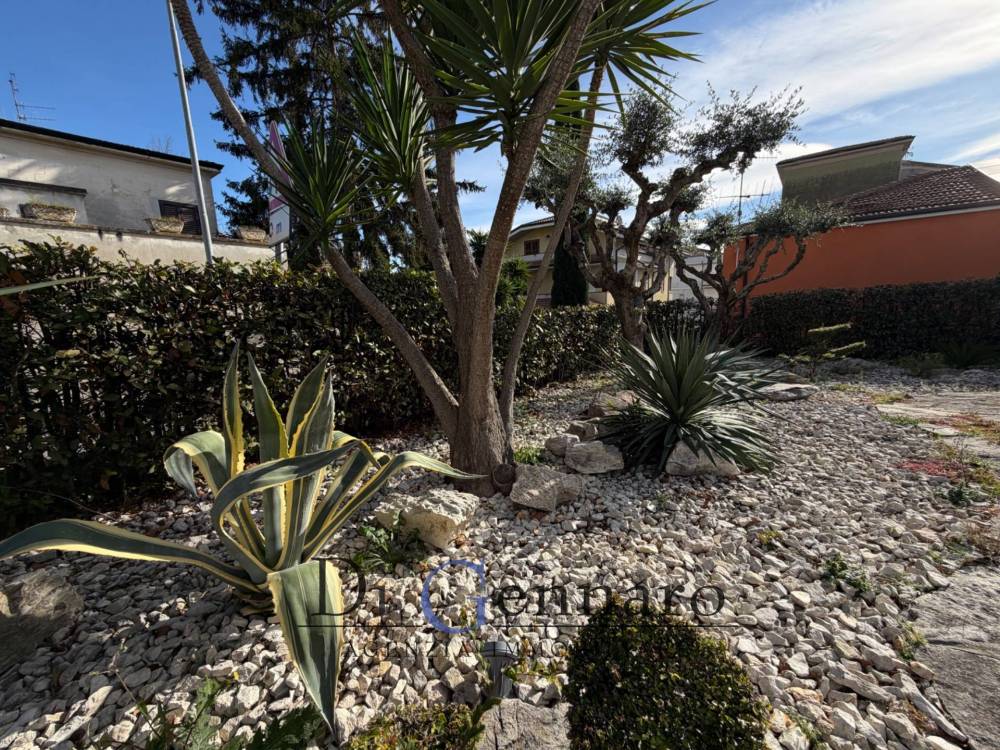 immagine annuncio 7 di 13