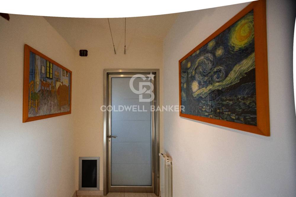 immagine annuncio 9 di 13