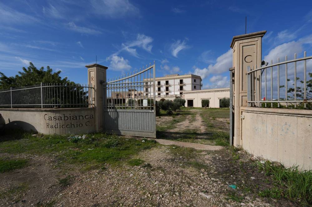 immagine annuncio 4 di 13